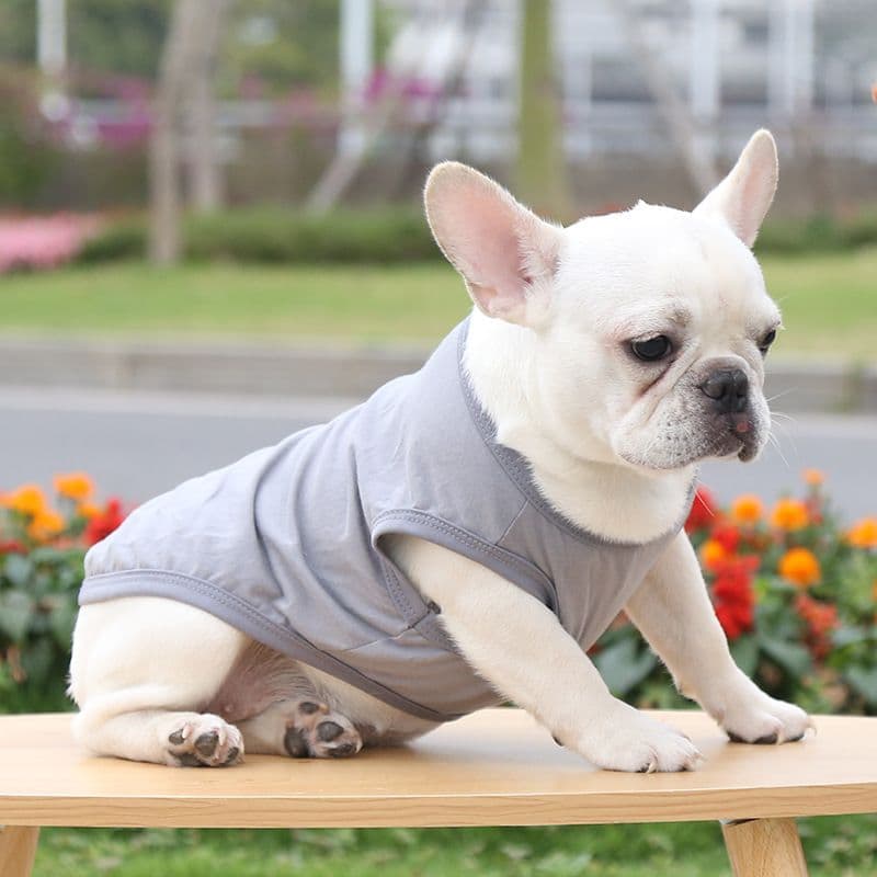 Cotton Pet Vest Dog Cat Clothing Small Large - Pure cotton vest pure gray