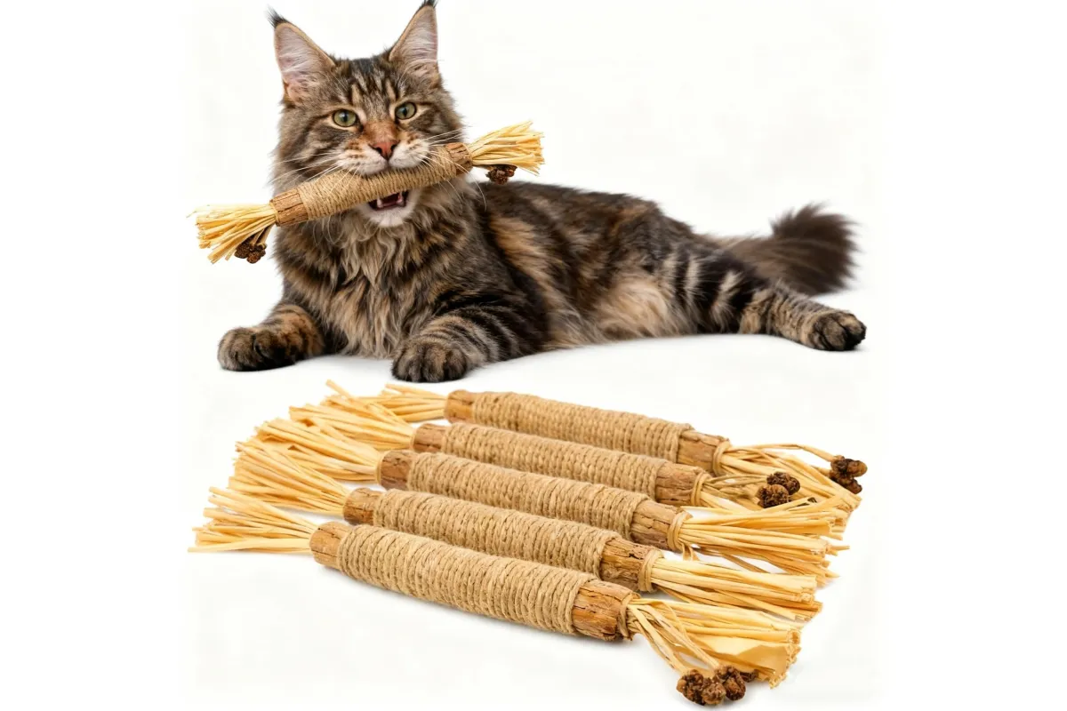 5 Pack Natural Silvervine Sticks Cat Dental Chew Toy Teeth Cleaning Kitten Bite, photo 1 of 6