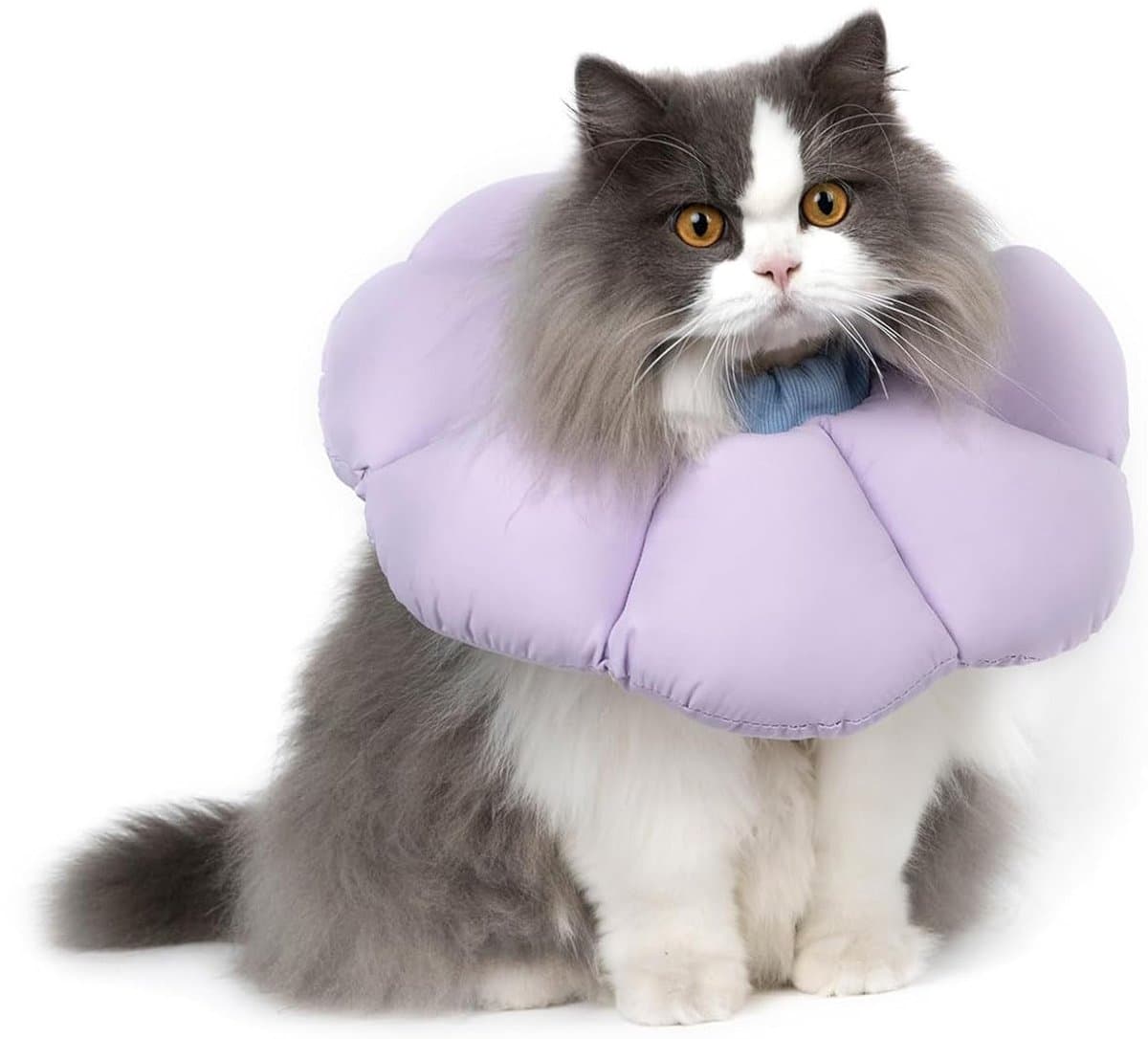 Protective Collar - Cat Collar - Collar - Cat Recovery Collar - Cat Collar - Cat Collar - Protective Collar Cat - Cat Collar Surgery - Comfortable - Creative - Prevent Escape - High Quality - for Wound Protection / Recovery after Surgery, photo 1 of 5