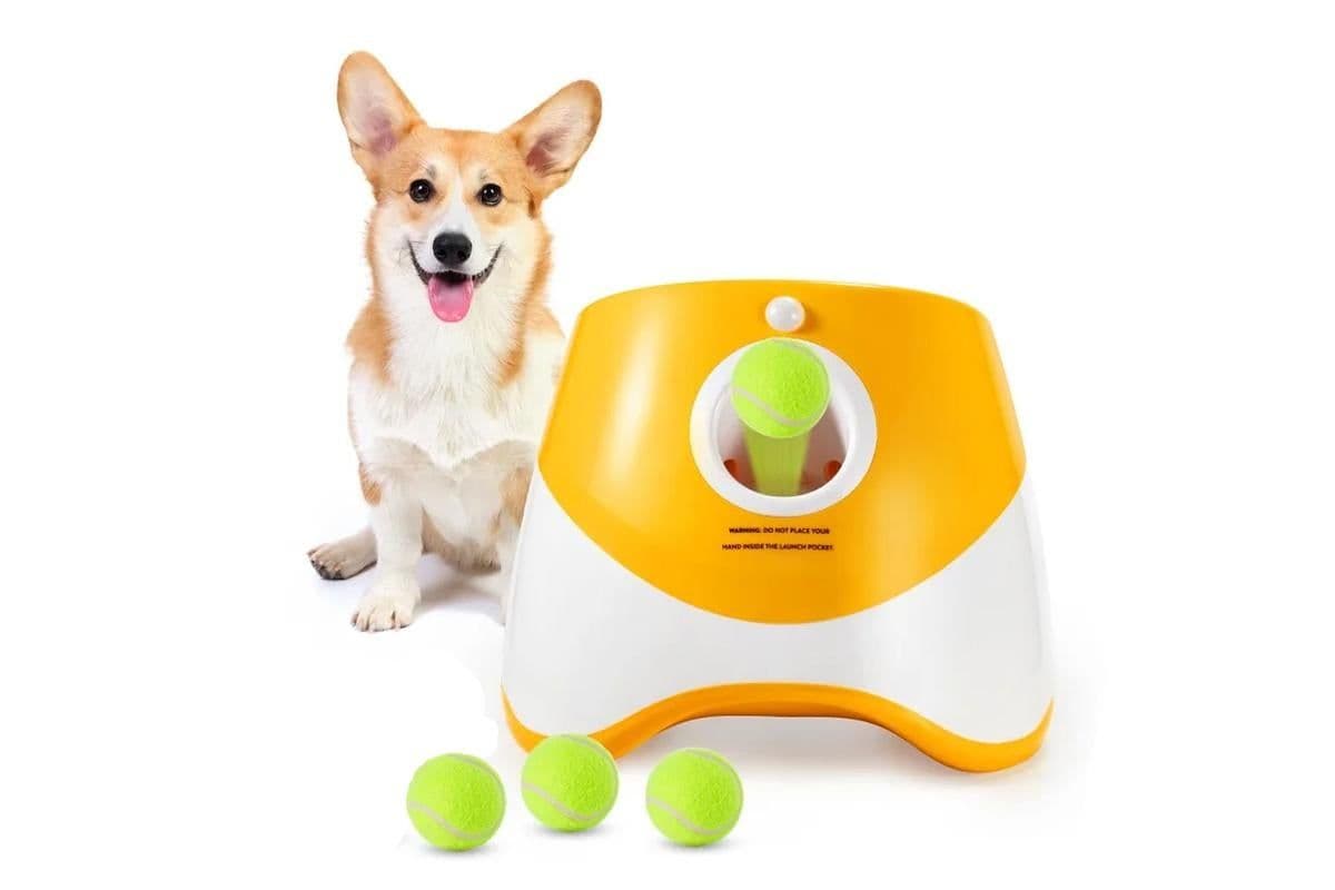 Dog Ball Launcher Thrower Automatic Tennis Fetch Throwing Machine with 3 Balls, photo 1 of 10