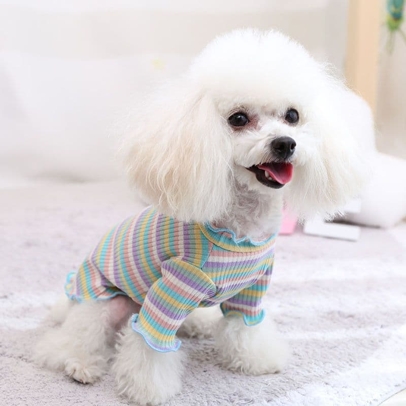 Cotton Knitted Pet Pullover Two Legs Clothes for Dogs