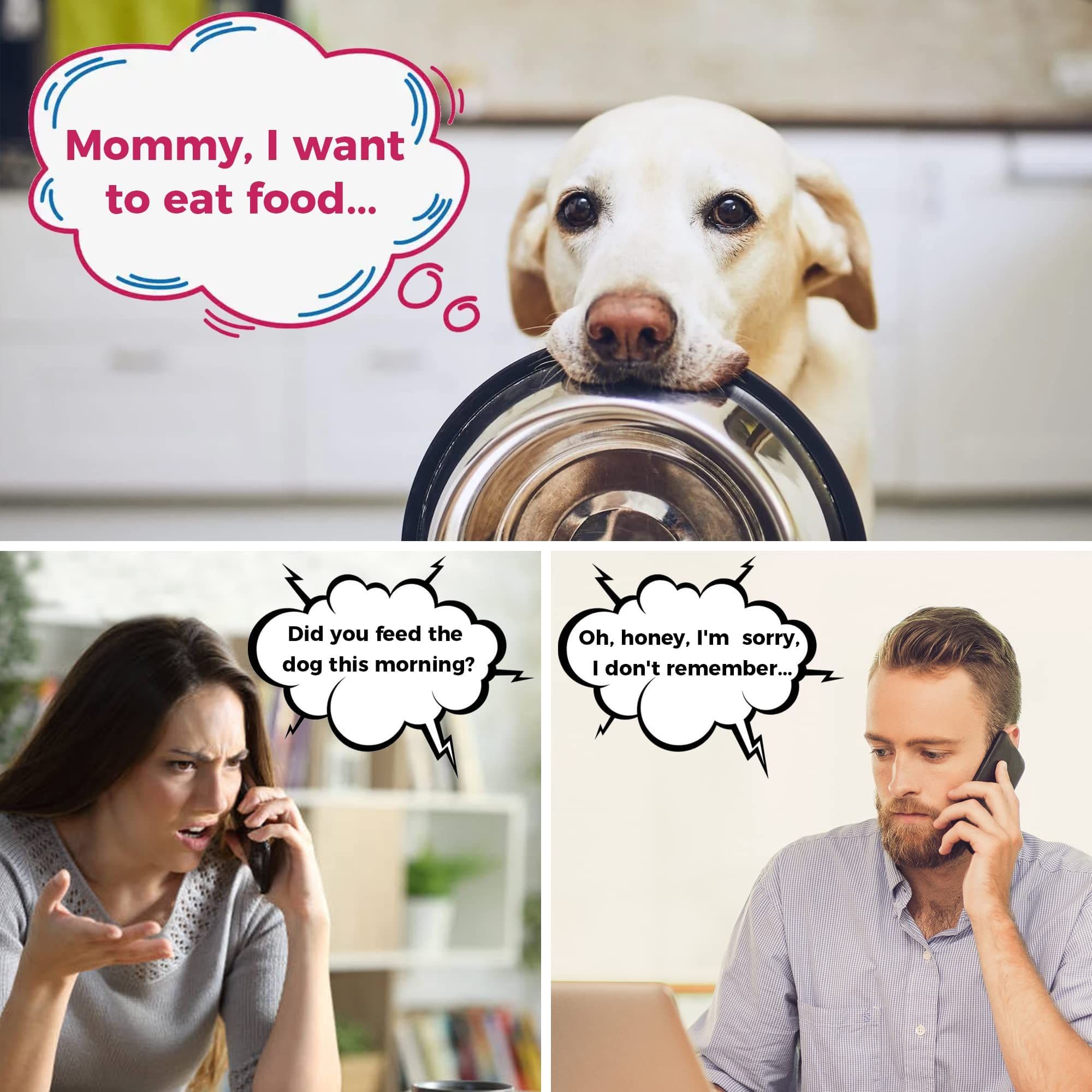 Magnetic Dog Feeding Reminder with Sticker, Dog Accessories, Daily AM/PM Chart Signs Each Week, Helps You Track Pet Feeding, photo 1 of 4