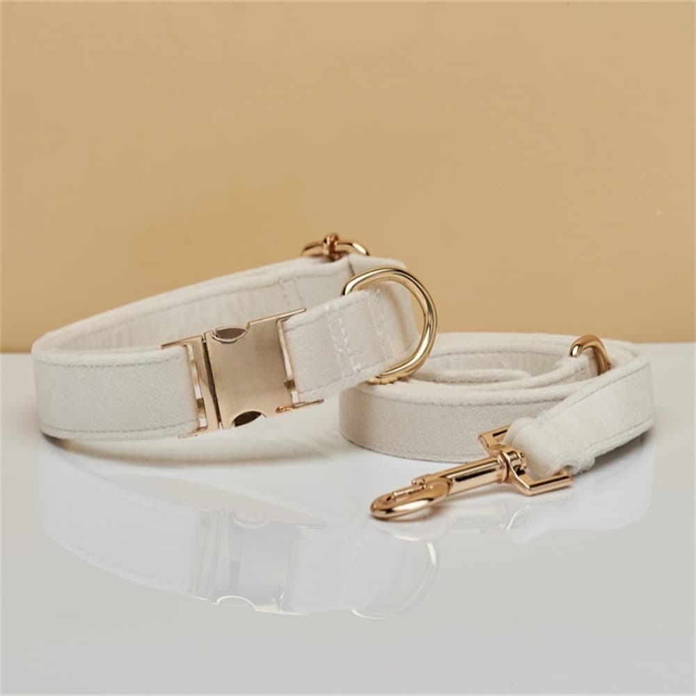 Luxury Velvet Pet Collar & Leash Set - Engravable Dog Collar with Gold Hardware, photo 1 of 2