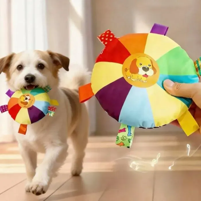 Flying Disc Dog Toy with Squeaker for Play and Training, Small and Large Dogs, photo 1 of 6