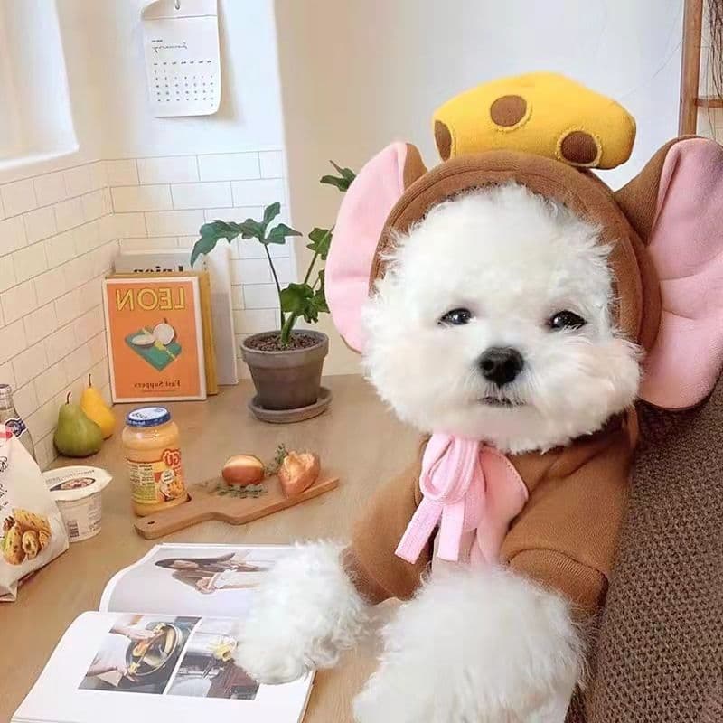 Shine Pet Hoodie Dog Cat Fruit Design, photo 1 of 10