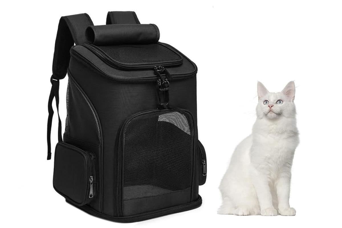 Expandable Large Cat Backpack Carrier for Small Pets - Black, photo 1 of 4