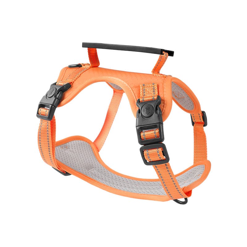 Reflective Dog Harness with Leash, No-Pull Vest Harness for Dogs, Adjustable Dog Vest with Handle, Walking Training Pet Harness L size, photo 1 of 5