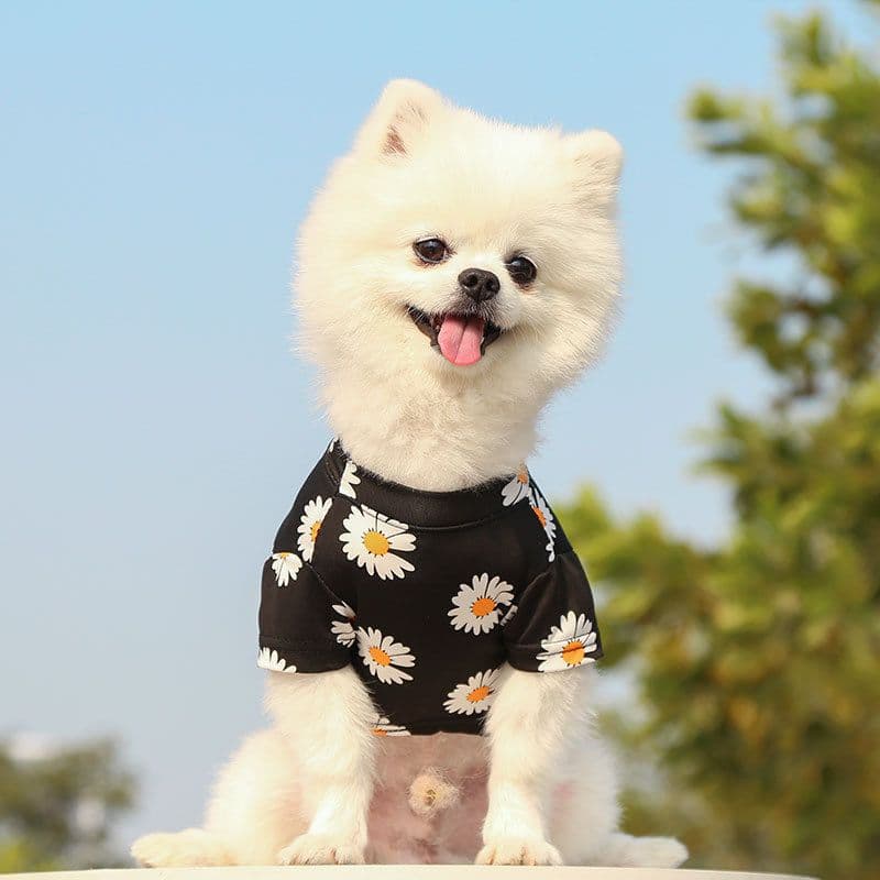 Pet Dog Cat T Shirt Clothes Shine Short Sleeve chrysanthemum T-shirt (milk Silk), photo 1 of 10