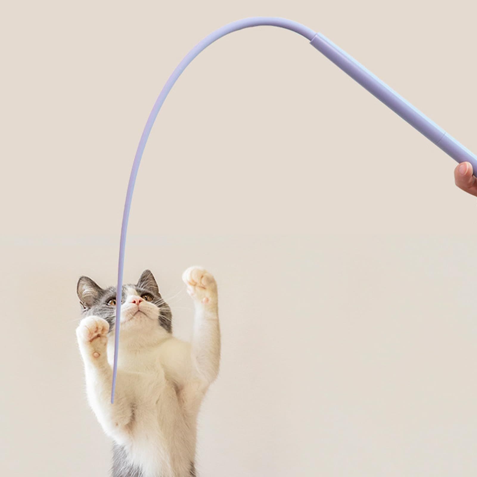 Cat Teaser, Silicone Mouse Tail Shape Cat Wand Toy, Interactive Cat Toys for Indoor Cats, 77cm Cute Cat Toys for Relaxing, photo 1 of 4
