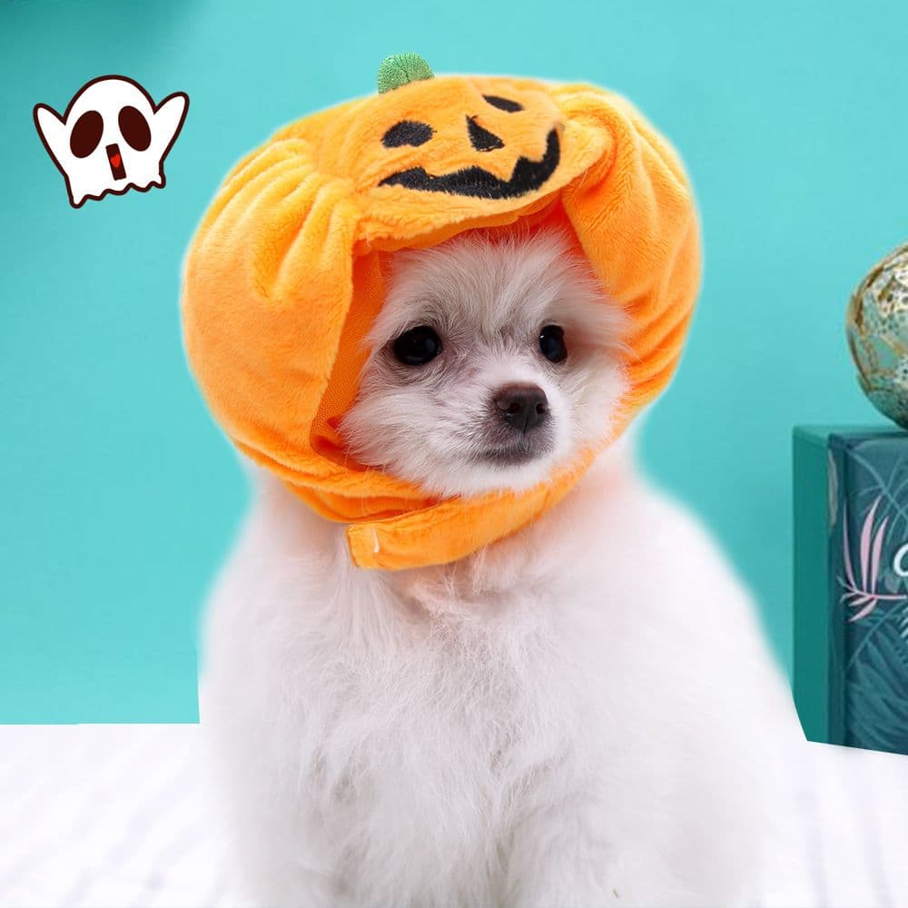 Shine Pumpkin Pet Hat for Dogs Cats Halloween The hat! Orange Pumpkin, photo 1 of 10