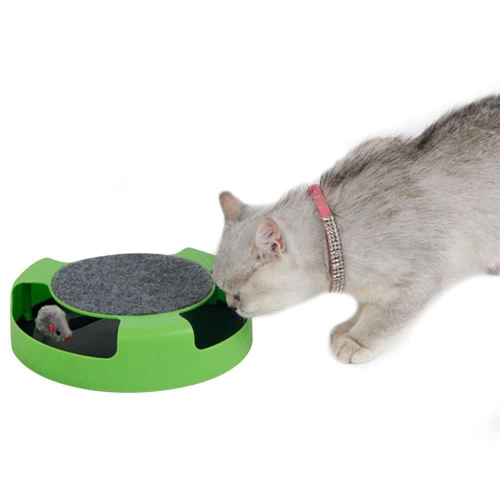 Pet Cat Catch Mouse Interactive Toy Cat Scratch Board Toy with Felt Scratching Claw Mat, photo 1 of 8
