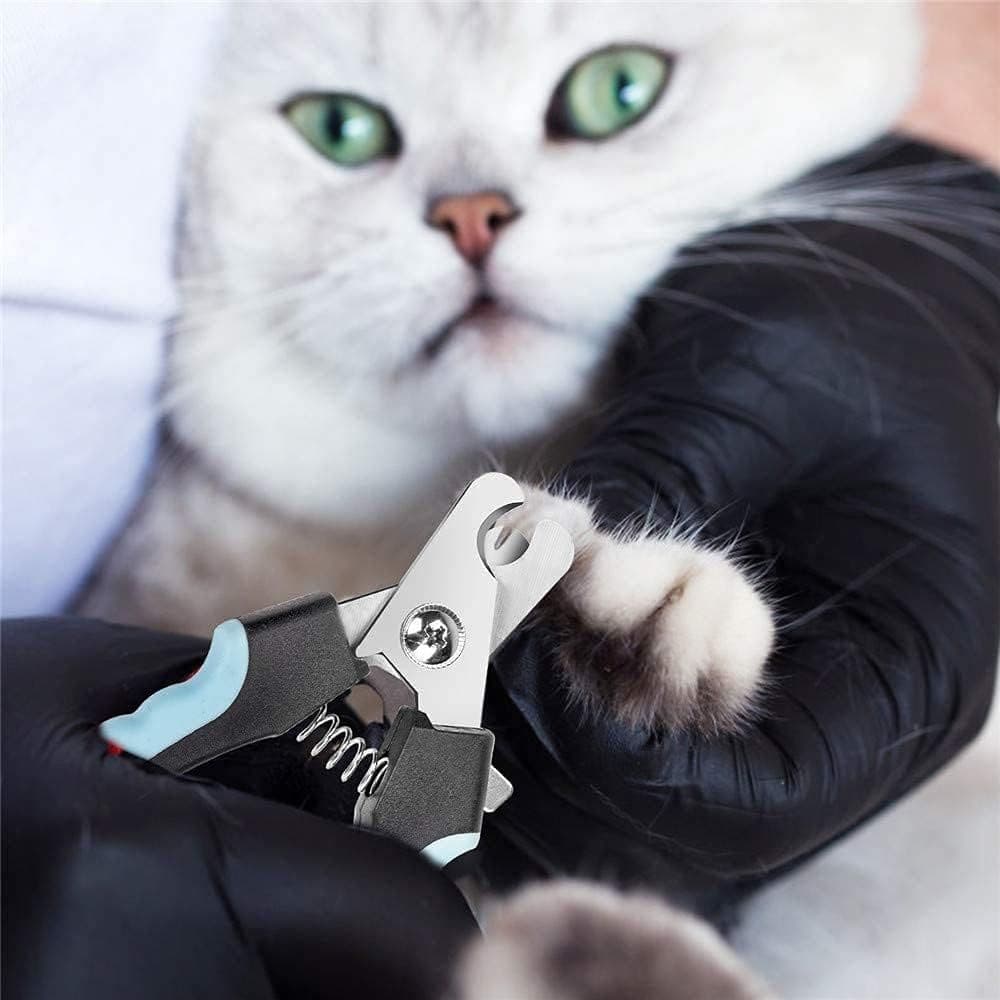 Pet Nail Clippers and Trimmers for Dogs or Cats, with Quick Safety Guard to Avoid Over-Cutting Toenail, Grooming Razor Sharp, photo 1 of 4