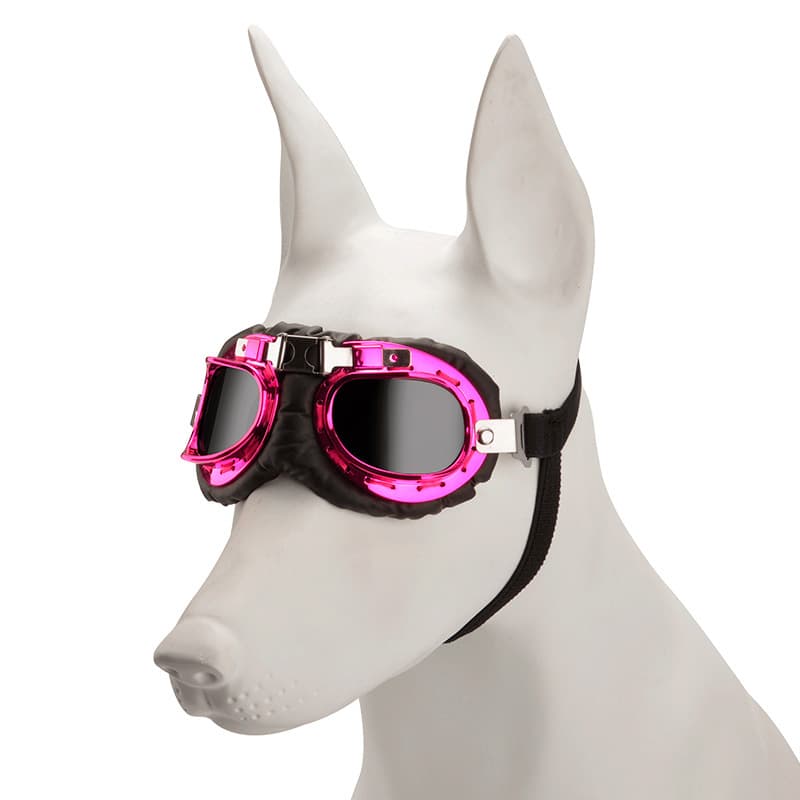 Frame Film Retro Pet Goggles - UV Protection Sunglasses for Small Medium Dogs & Cats, Windproof Shatterproof Eye Protection, photo 1 of 10