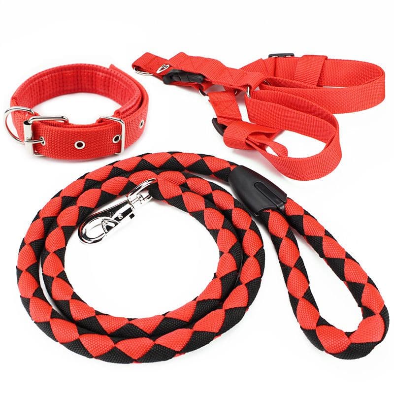 Billionaire dog PP Pet Leash Harness Set, photo 1 of 2
