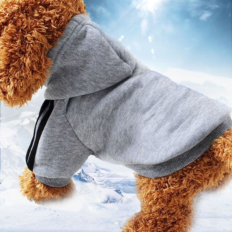 Shine Pet Sweatshirt Cotton Casual Style