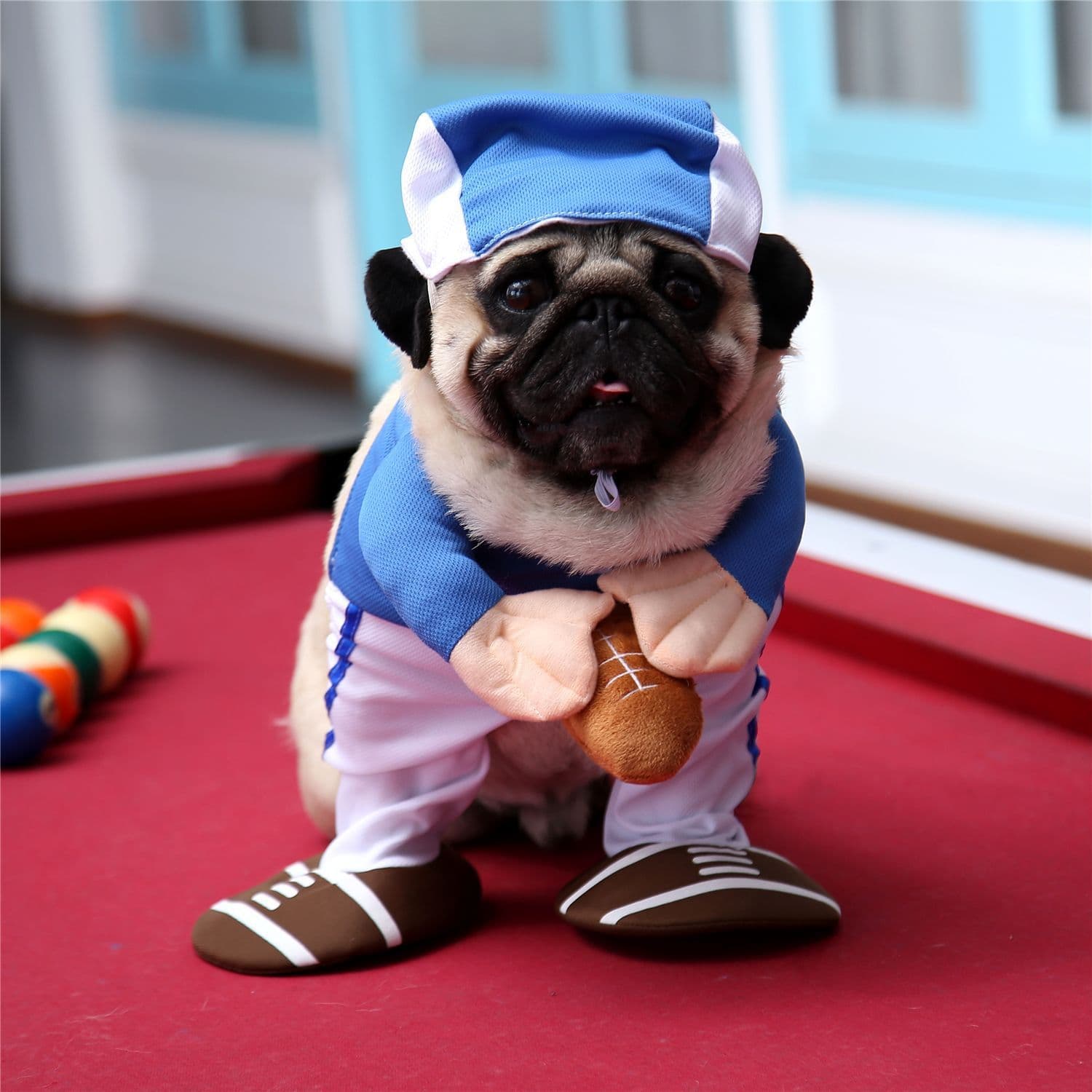Dog Costume Pet Brand Rugby Stand Up Sportswear, photo 1 of 10