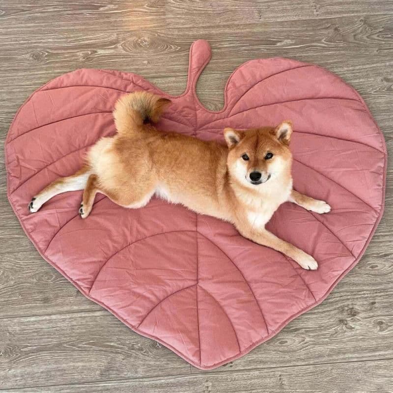 Ginkgo Leaf Shaped Pet Mat – Thickened Multi-Use Plush Blanket & Cushion for Cats and Dogs, All-Season Floor Bed, Crate Pad and Cozy Throw (Pink), photo 1 of 10
