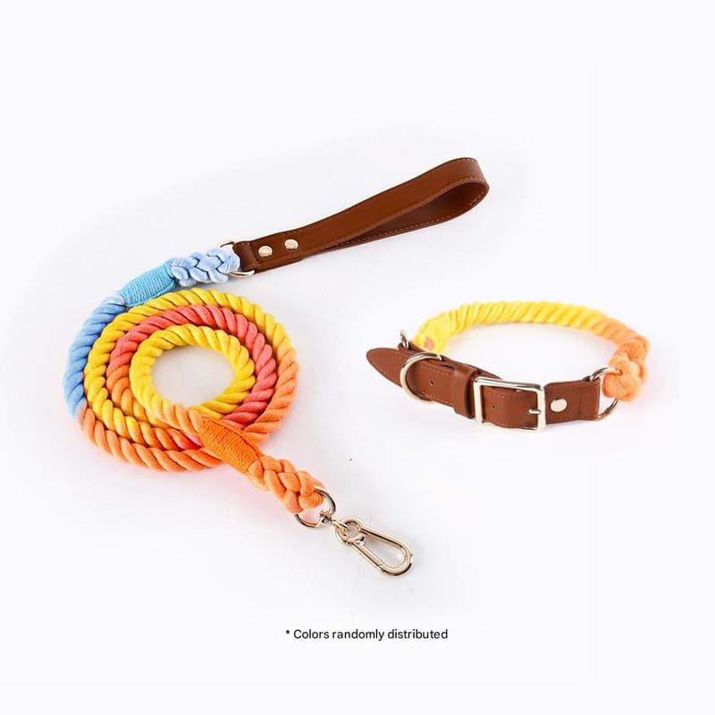 Premium Leather Pet Collar and Leash - Soft, Strong Braided Rope, photo 1 of 3