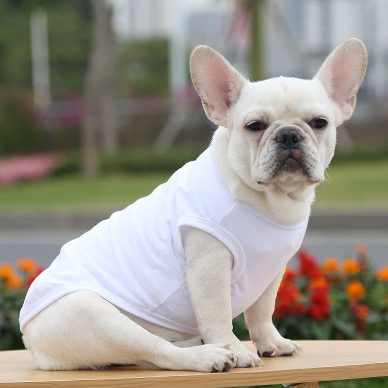 Cotton Pet Vest Dog Cat Clothing Small Large - Pure cotton vest pure white, photo 1 of 10