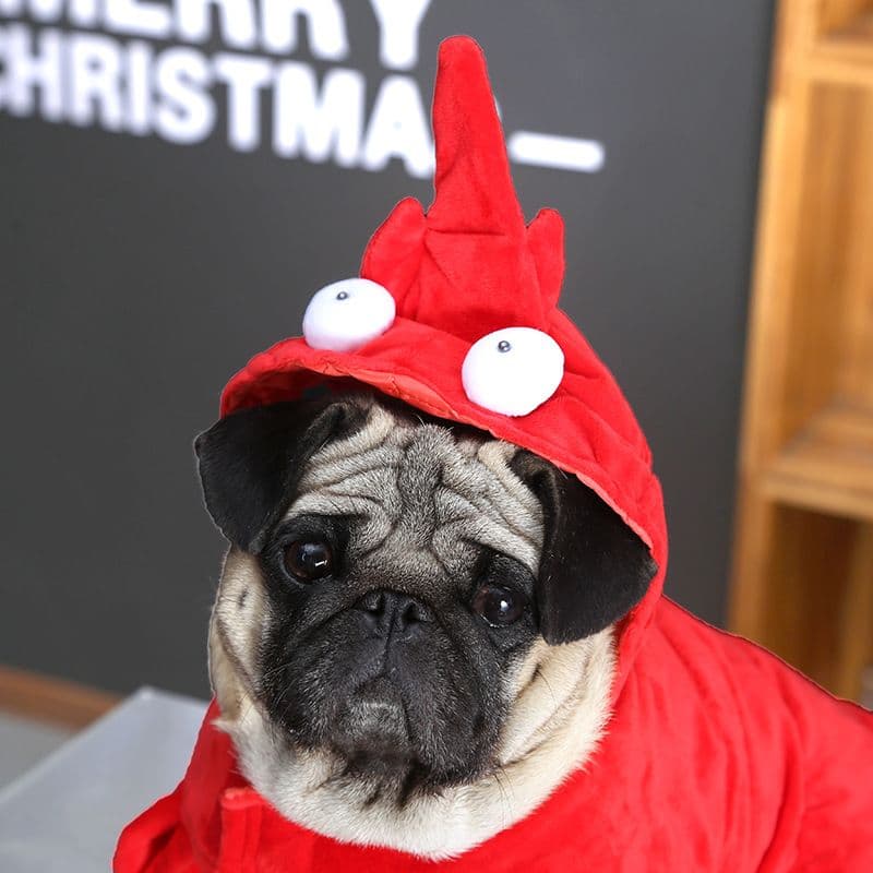 Dog Lobster Costume Qichong Pet Transformation Outfit Lobster Transformation