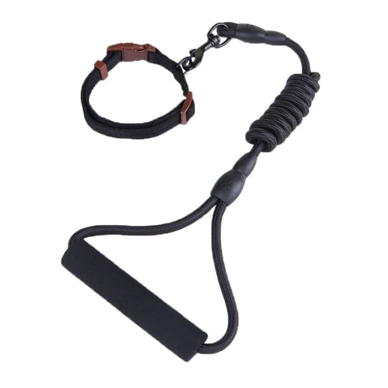 Zichen Dog Nylon Running Leash Collar Set collar