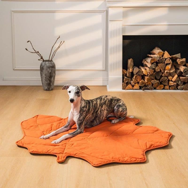 Leaf-Shaped Multi-Functional Pet Mat – Plush, Thick, and All-Season Comfort for Your Cat or Dog, Perfect as a Floor Pad, Crate Cushion, Sofa Protector, or Cozy Blanket (Orange), photo 1 of 10
