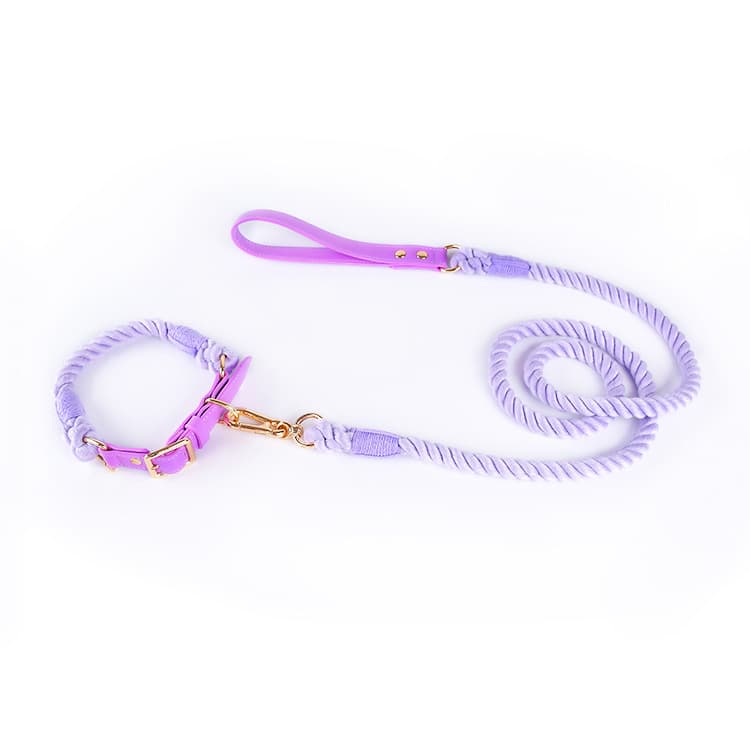 Premium Leather Pet Collar and Leash - Soft, Strong Braided Rope