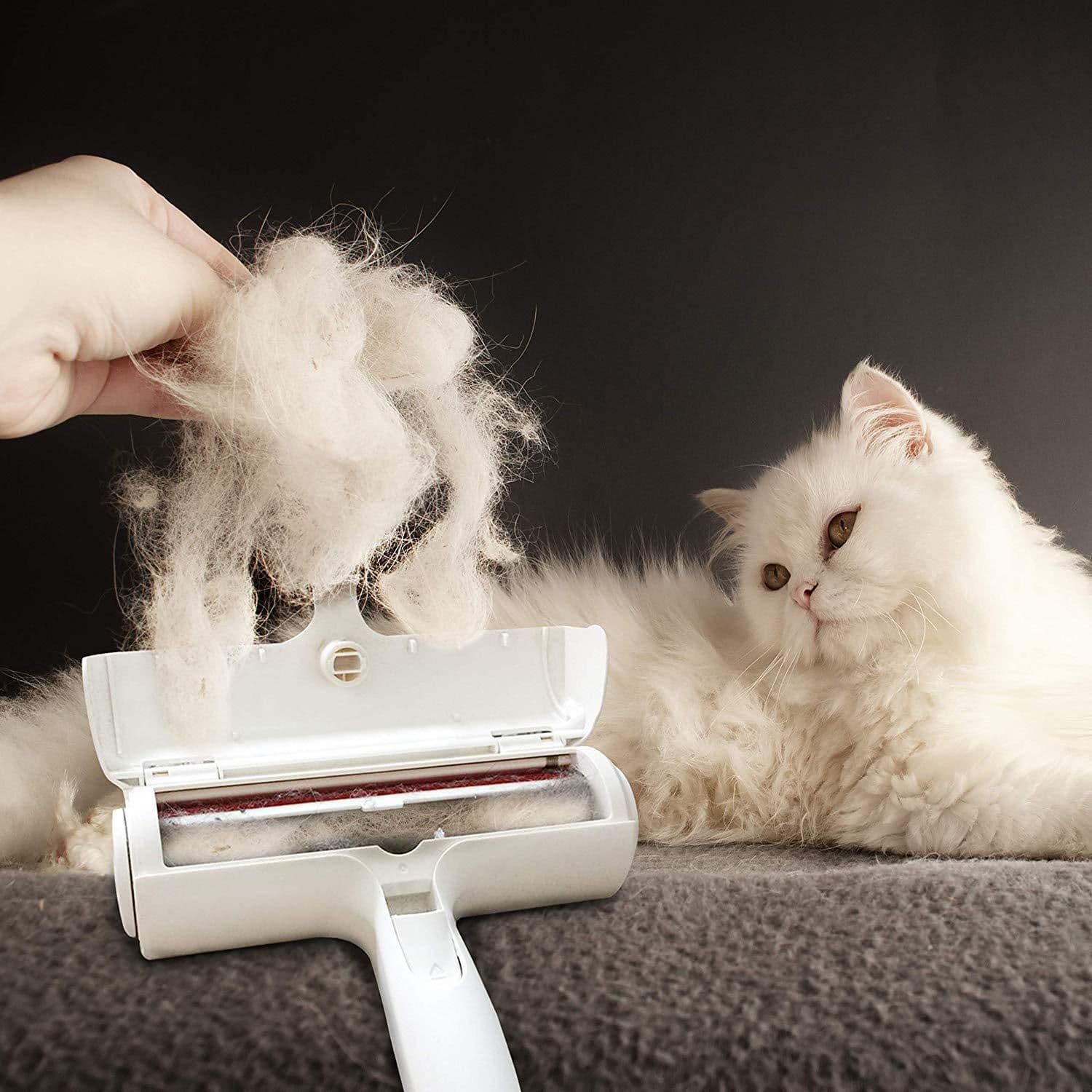 Addone Pet Hair Removal Brush Carpet Cleaner Ordinary opp packaging