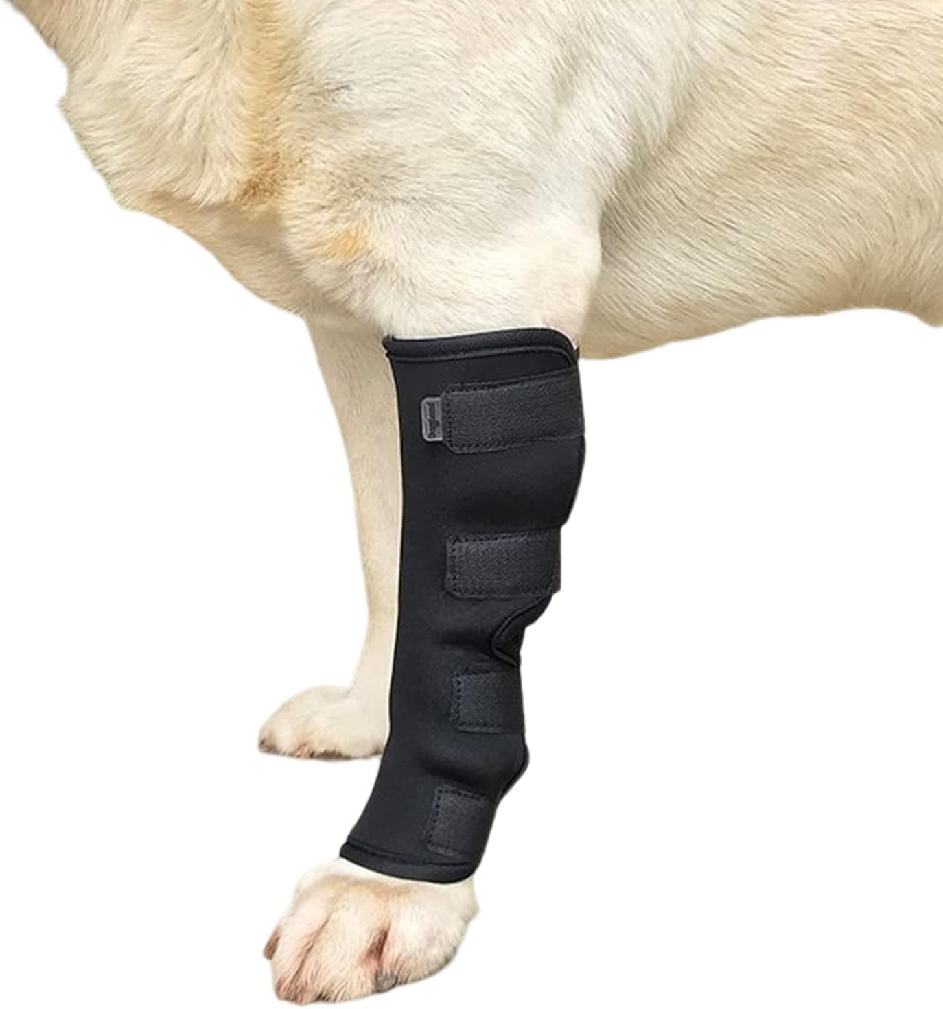 1Pc Canine Dog Hock Joint Support Brace, Adjustable Pet Dog Leg Braces Compression Wrap for Recovery Dog Braces Protect Legs Wounds Injuries for Pain Relief, photo 1 of 8
