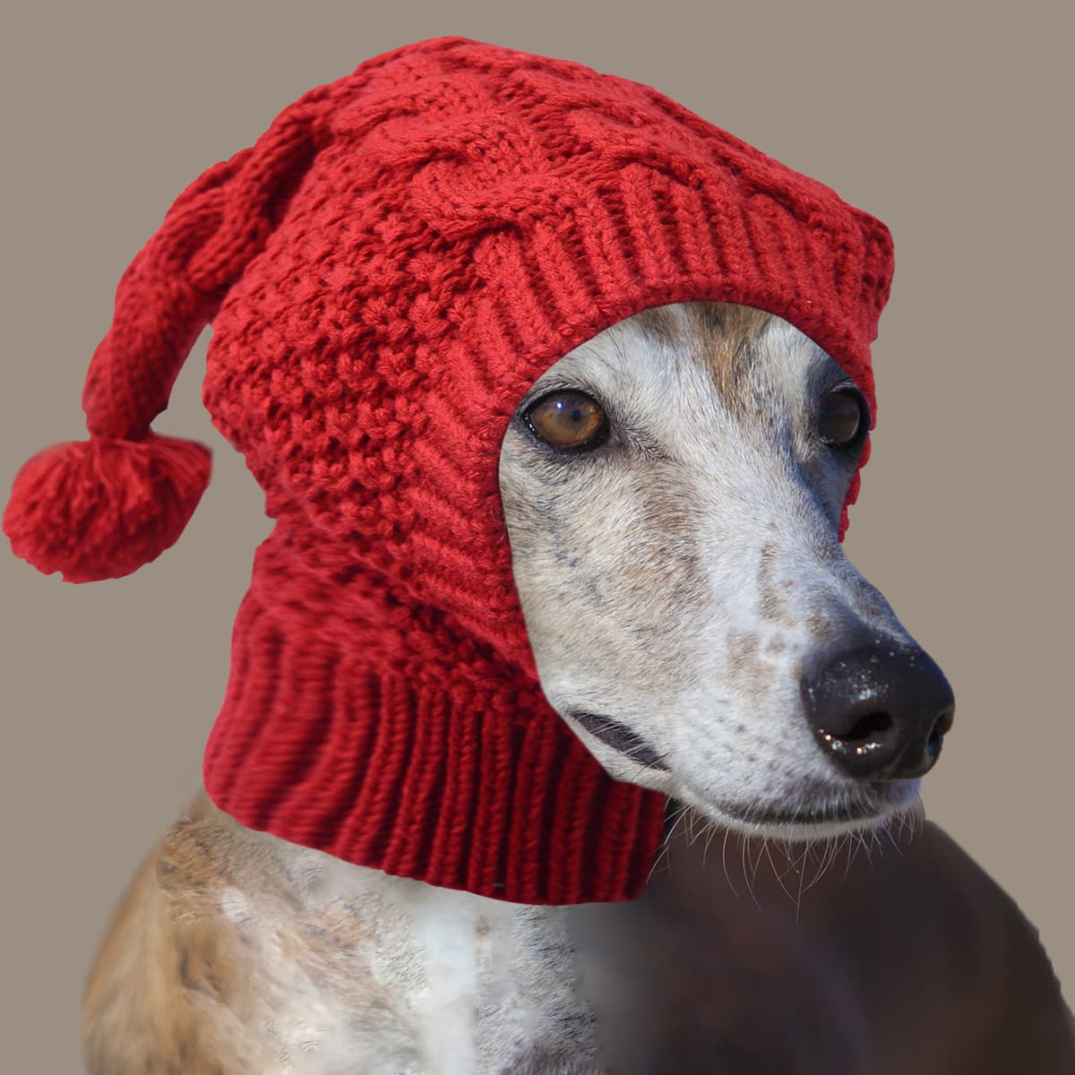 Size Whimsical Knit Dog Hat with Pom-Pom - Cozy Winter Pet Beanie & Snood, photo 1 of 10