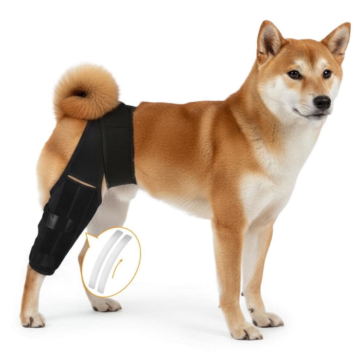Knee Brace for Torn ACL CCL, Support Brace with Back Strap to Prevent Slipping, Hind Leg Support for Dog Joint Pain Recovery, Luxating Patella, Fits Small Medium Large Dogs - Black, photo 1 of 10