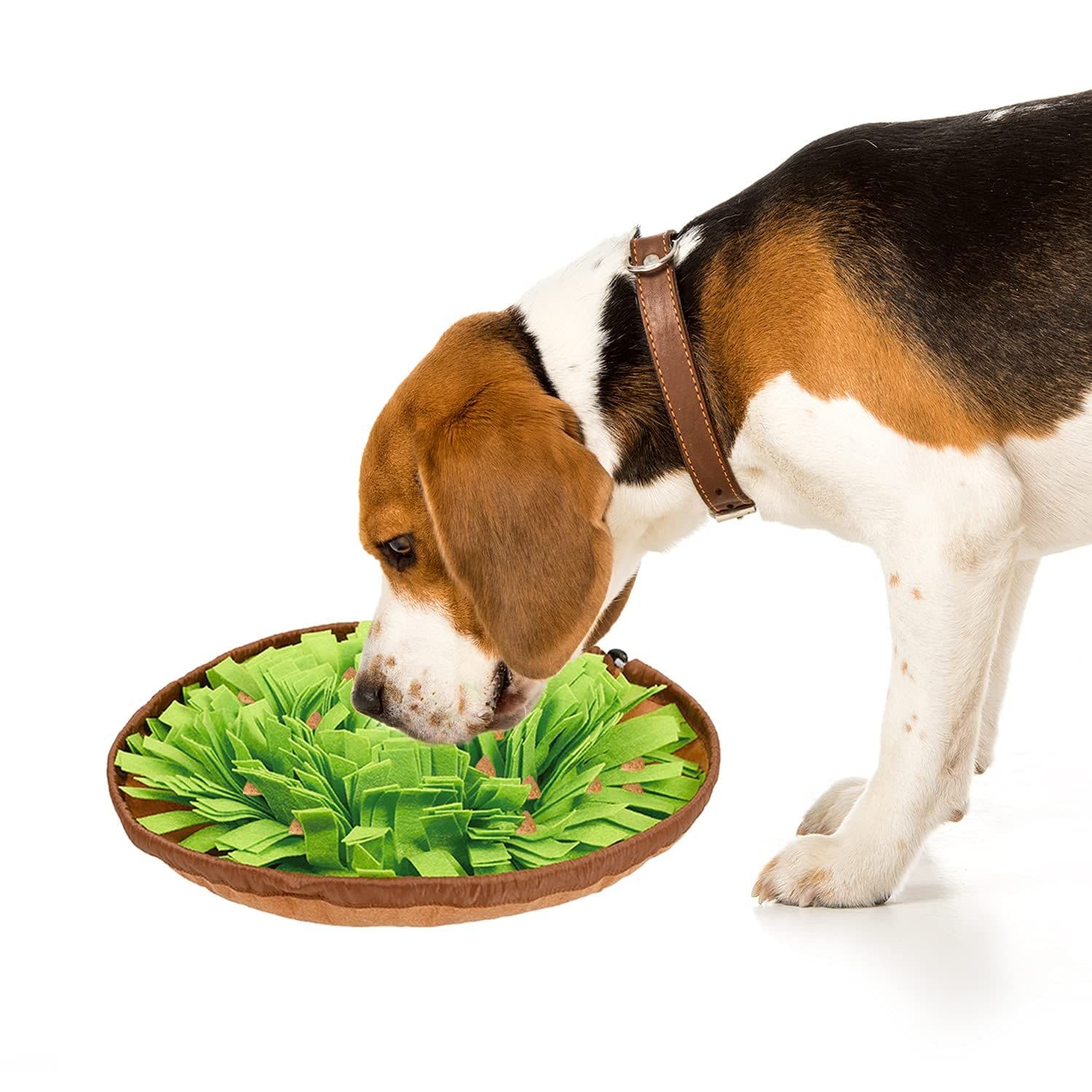 Dogs Feeding Mat,Dog Mat Slow Feeding Bowl Dog Anti-Slip Nose Work Spliced Training Mat Encourages Natural Foraging Skills, photo 1 of 5