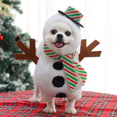 Christmas Pet Clothes Dog Cat Winter Cotton 144 cotton-padded coat - Standing white snowman transform, photo 1 of 10