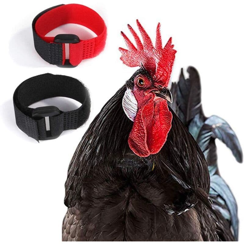 2 Pack Adjustable Chicken Collar, Anti Crow Rooster Collar, photo 1 of 4
