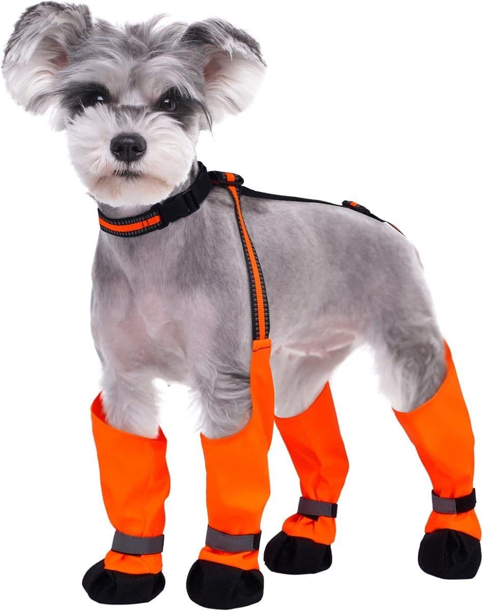 Waterproof Dog Boots With Suspenders, Anti Slip Paw Protectors With Adjustable Straps For Small And Medium Dogs Outdoor Walks, photo 1 of 10