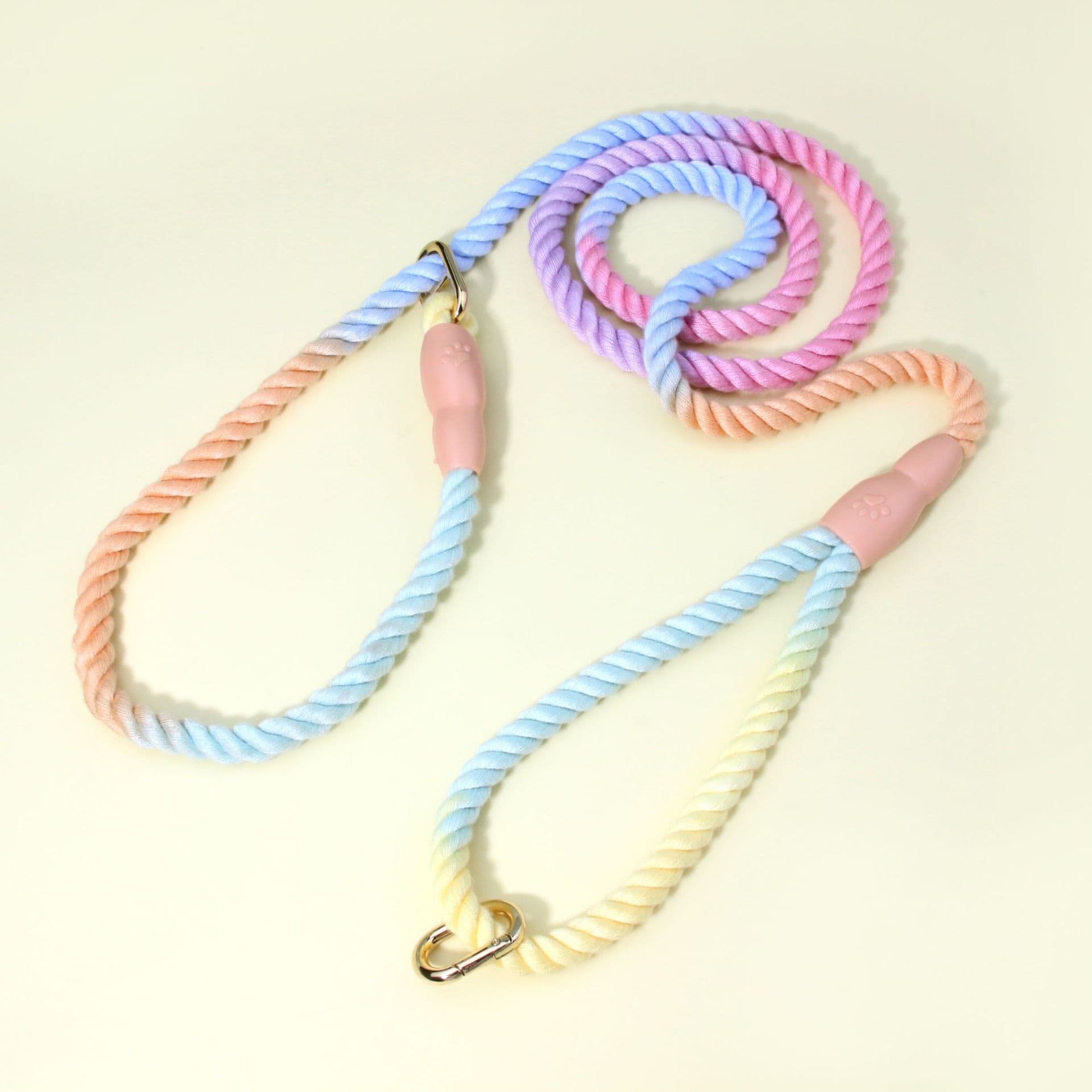 Colorful Vibrant Rainbow Ombre Rope Dog Leash - Durable Nylon P-Chain Slip Lead for Small & Medium Breeds, photo 1 of 5