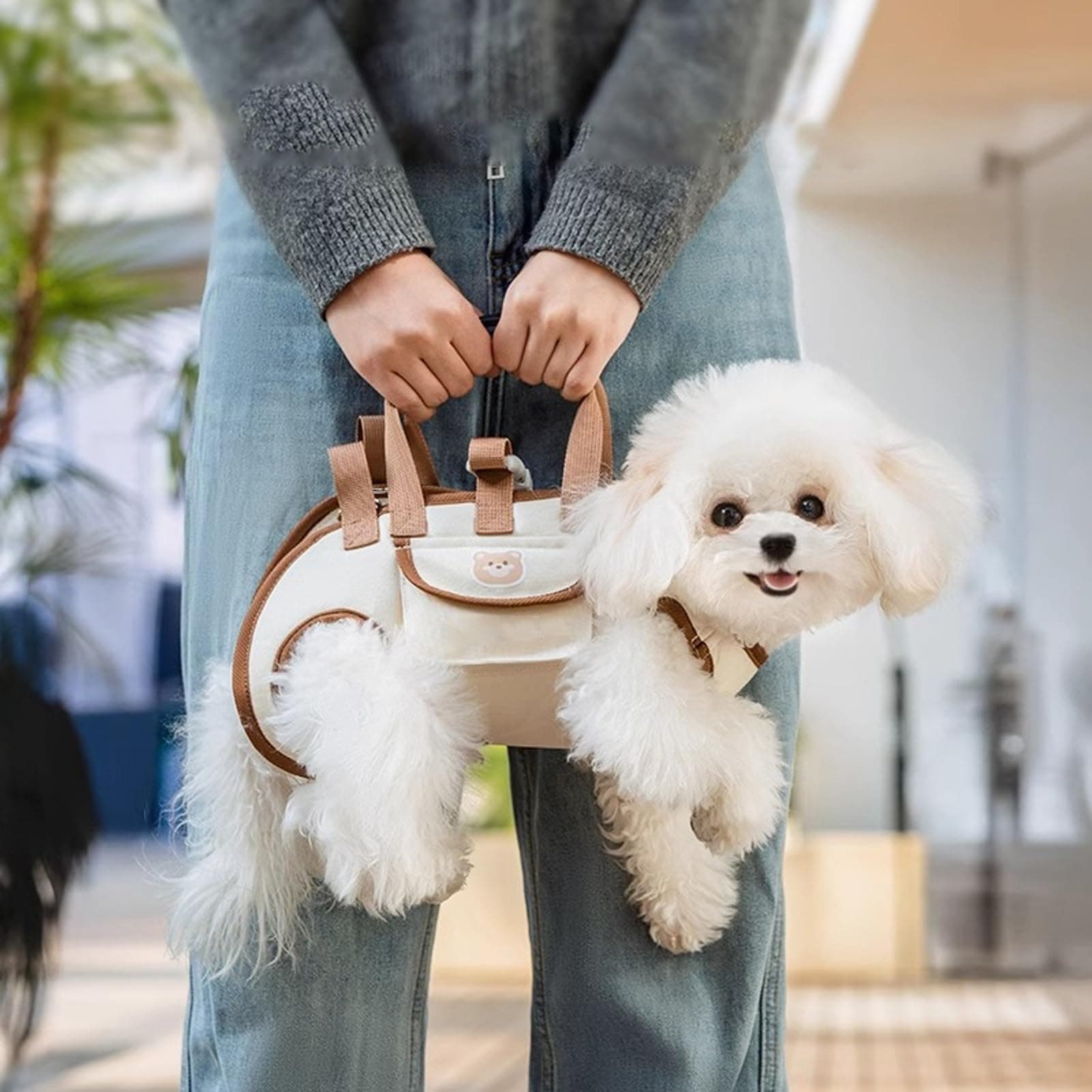 Soft Pet Carrier Bag with Cushion for Small Dogs and Cats, Comfortable Travel Tote for Vet Visits, Cars and Outings, White, photo 1 of 8