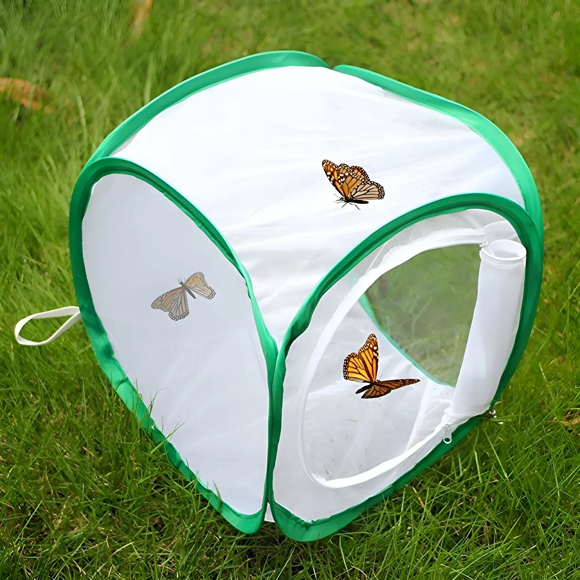 1 Pc Green Butterfly Kit With Live Caterpillars, Portable Foldable Insect Habitat Cage and Butterfly House, photo 1 of 7