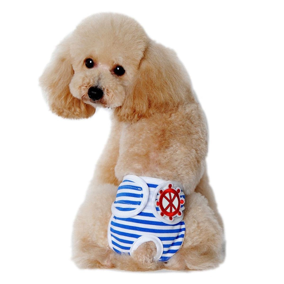 Washable Dog Physiological Underwear with Nautical Striped Design, Adjustable Magic Tape, Tail Opening and Leak-Proof Layer for Small to Large Dogs During Heat Cycles and Daily Indoor or Outdoor Use,), photo 1 of 10