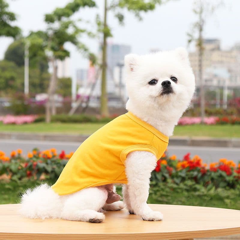 Cotton Pet Vest Clothing for Dogs and Cats by shine - Pure cotton vest pure yellow, photo 1 of 10